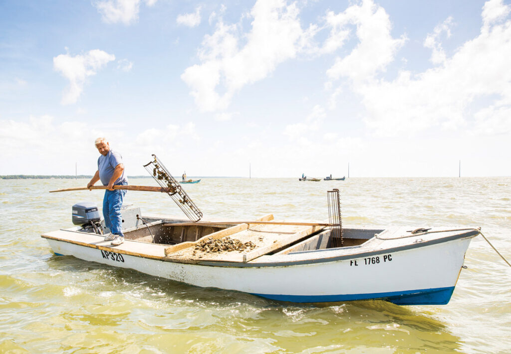Apalachicola Oyser Farming