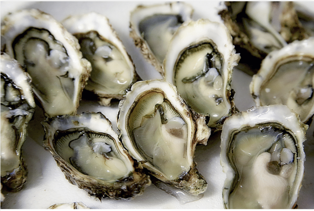 Apalachicola Bay Oysters