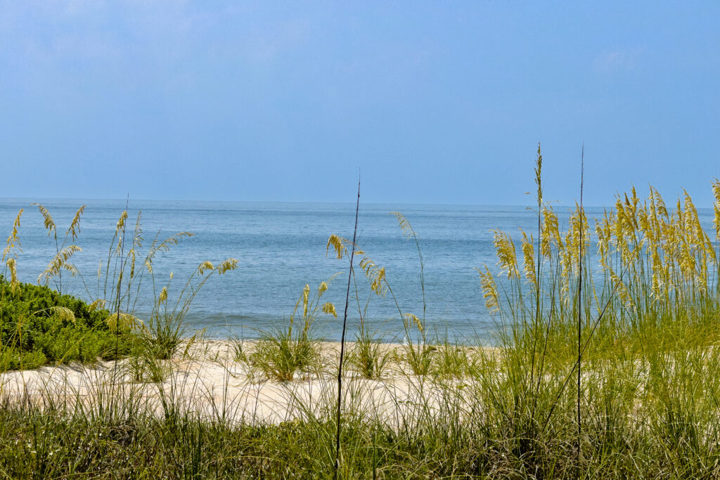 Ocean views through the Sea Oats on St. George Island Florida.